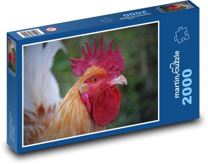 Rooster - poultry, animal - Puzzle 2000 pieces, size 90x60 cm 