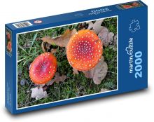 Mochotrávka - huby, jeseň Puzzle 2000 dielikov - 90 x 60 cm