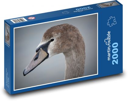 Łabędź - ptak, zwierzę - Puzzle 2000 elementów, rozmiar 90x60 cm