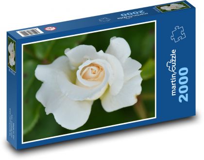 Rose - flower, white - Puzzle 2000 pieces, size 90x60 cm 