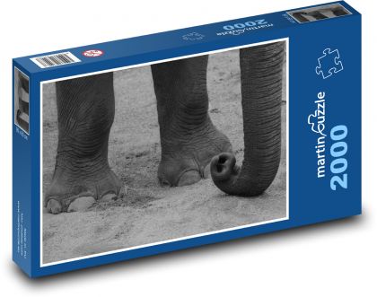 Slon - zvíře, savec - Puzzle 2000 dílků, rozměr 90x60 cm