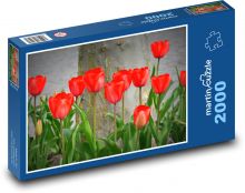 Tulipány - príroda, kvety Puzzle 2000 dielikov - 90 x 60 cm