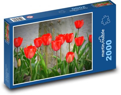 Tulipány - príroda, kvety - Puzzle 2000 dielikov, rozmer 90x60 cm 