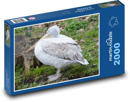 Pelican - water bird - Puzzle 2000 pieces, size 90x60 cm 