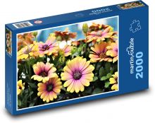 Sedmikrásky - africké květiny Puzzle 2000 dílků - 90 x 60 cm