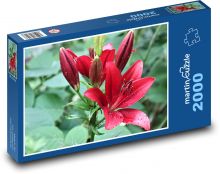 Lilie - rot, Tau Puzzle 2000 Teile - 90 x 60 cm