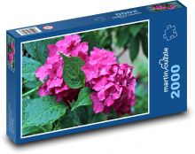 Hortenzia - ružová, rosa Puzzle 2000 dielikov - 90 x 60 cm