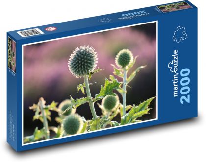 Distel - Blume, Pflanze - Puzzle - 2000 Teile