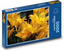 Lily - yellow flower Puzzle 2000 pieces - 90 x 60 cm