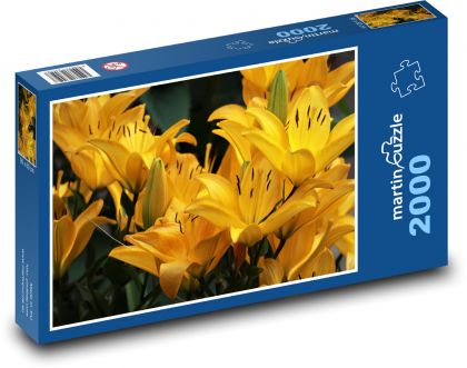 Lily - yellow flower - Puzzle 2000 pieces, size 90x60 cm 