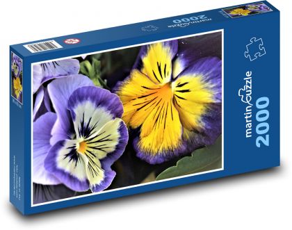 Maceška - barevná, květ - Puzzle 2000 dílků, rozměr 90x60 cm