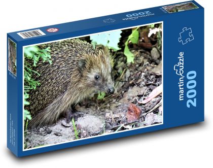 Ježko - príroda, les - Puzzle 2000 dielikov, rozmer 90x60 cm 