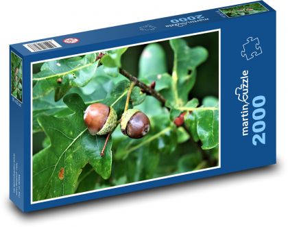 Dąb - żołędzie, drzewo - Puzzle 2000 elementów, rozmiar 90x60 cm