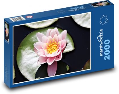 Seerose - rosa Blume - Puzzle - 2000 Teile