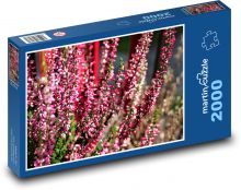 Vřes - květ, rostlina Puzzle 2000 - 90x60 cm