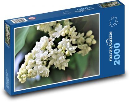 Orgován - biely kvet - Puzzle 2000 dielikov, rozmer 90x60 cm 