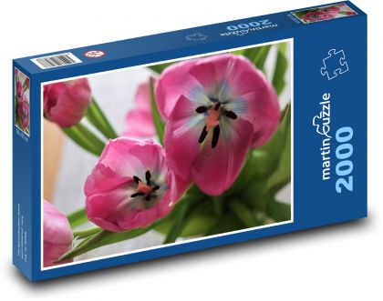 Tulipán - růžový, květina - Puzzle 2000 dílků, rozměr 90x60 cm