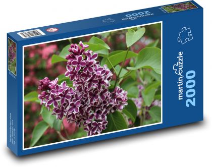 Flieder - Blume, Strauch - Puzzle - 2000 Teile