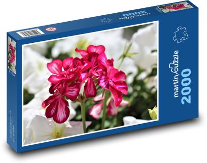 Muškát - růžový květ - Puzzle 2000 dílků, rozměr 90x60 cm