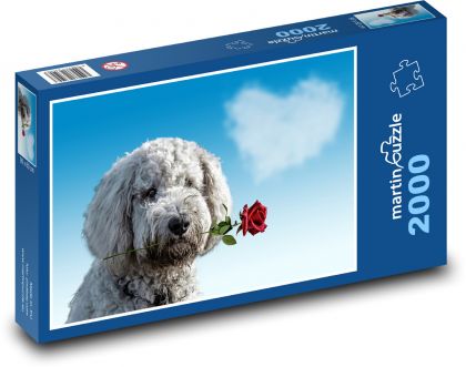 Pes - ruža. Valentín - Puzzle 2000 dielikov, rozmer 90x60 cm 
