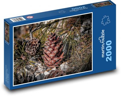 Šiška borovice - Puzzle 2000 dielikov, rozmer 90x60 cm 