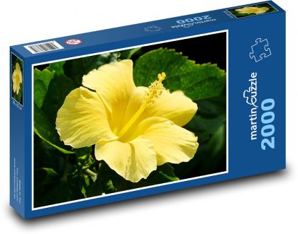 Ibišek - žlutý květ - Puzzle 2000 dílků, rozměr 90x60 cm
