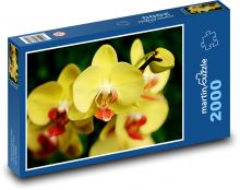 Orchidee - gelbe Blume Puzzle 2000 Teile - 90 x 60 cm