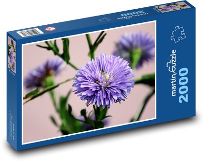Astra - květ - puzzle 2000 dílků