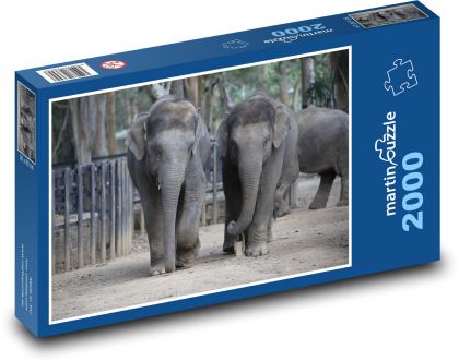 India - slony, cicavce - Puzzle 2000 dielikov, rozmer 90x60 cm 