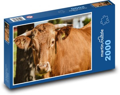 Kráva - dobytek, farma - Puzzle 2000 dílků, rozměr 90x60 cm