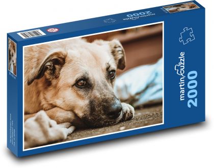 Hund - süß, häuslich - Puzzle - 2000 Teile