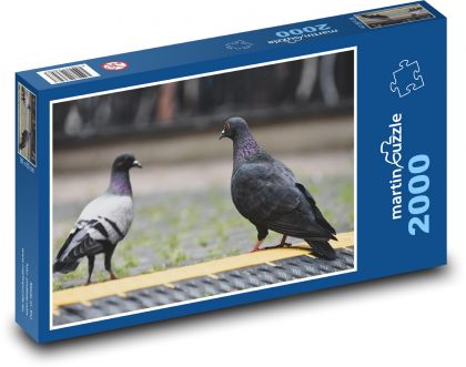 Pigeons - birds, feathers - Puzzle 2000 pieces, size 90x60 cm 