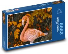 Plameňák - oranžový pták Puzzle 2000 dílků - 90 x 60 cm