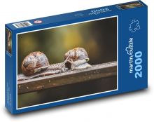 Snail - conch, snail Puzzle 2000 pieces - 90 x 60 cm