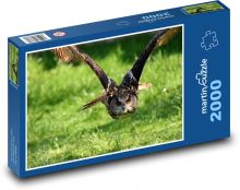 Sova - letící pták Puzzle 2000 - 90x60 cm