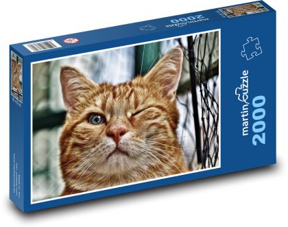 Kočka domácí - mrkat - Puzzle 2000 dílků, rozměr 90x60 cm