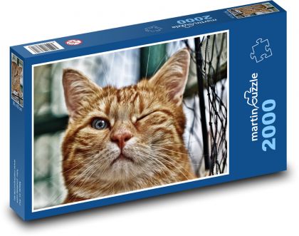Hauskatze - zwinkert - Puzzle - 2000 Teile