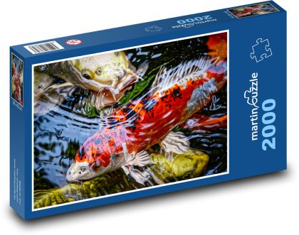 Koi - japonská ryba - Puzzle 2000 dielikov, rozmer 90x60 cm 