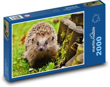 Ježek u plotu - puzzle 2000 dílků