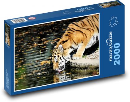 Tygr - dravec, žíznivý - Puzzle 2000 dílků, rozměr 90x60 cm