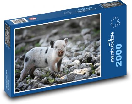 Prasiatko na kameňoch - Puzzle 2000 dielikov, rozmer 90x60 cm 