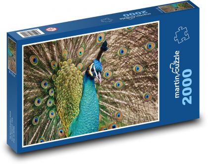 Peacock - peacock - Puzzle 2000 pieces, size 90x60 cm 