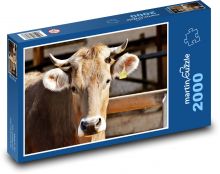 Krowa - bydło, rogi Puzzle 2000 elementów - 90x60 cm