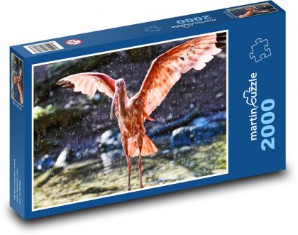 Ibis - červený vták - Puzzle 2000 dielikov, rozmer 90x60 cm 