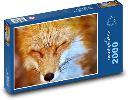 Líška - divoké zviera - Puzzle 2000 dielikov, rozmer 90x60 cm 