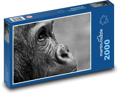 Gorila - opice, zoo - Puzzle 2000 dílků, rozměr 90x60 cm