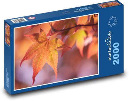 Japonské javorové listy - Puzzle 2000 dielikov, rozmer 90x60 cm 