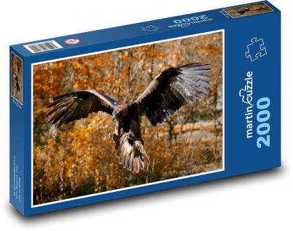 Eagle - predator, bird - Puzzle 2000 pieces, size 90x60 cm 