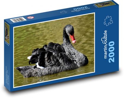Černá labuť - pták - Puzzle 2000 dílků, rozměr 90x60 cm