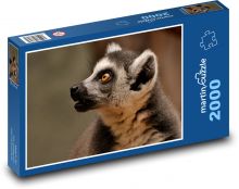 Lemur - monkey, animal Puzzle 2000 pieces - 90 x 60 cm